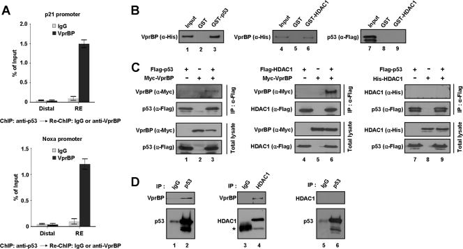 Fig 6