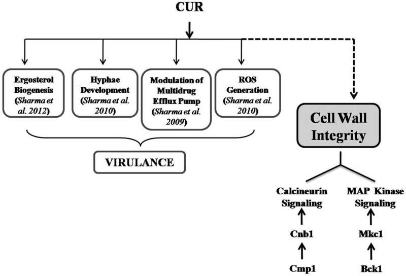 FIG 6