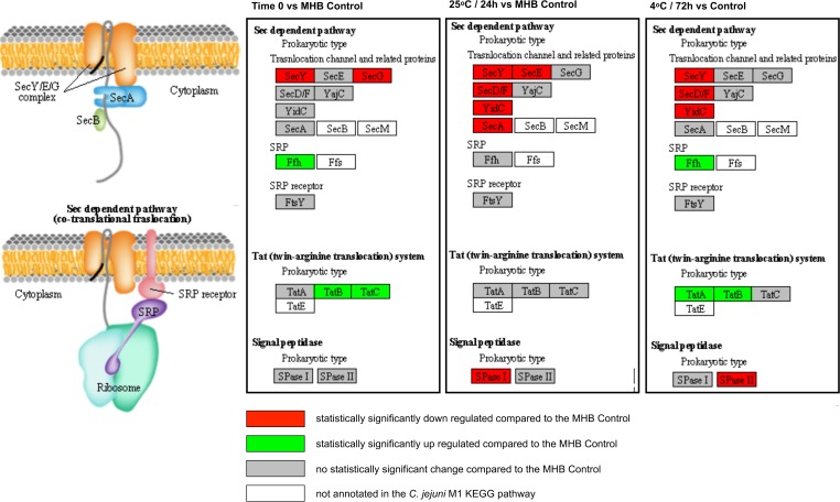 Fig 4