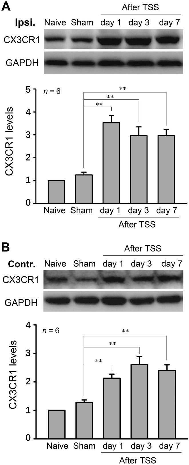 Fig. 4