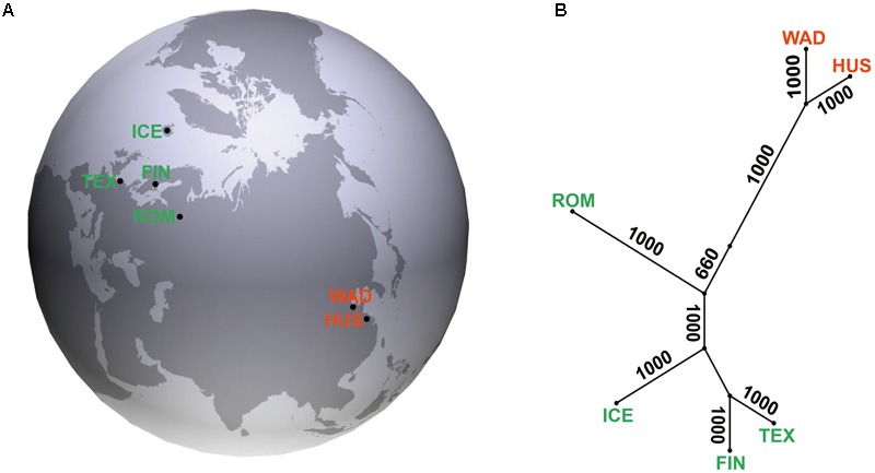 FIGURE 1