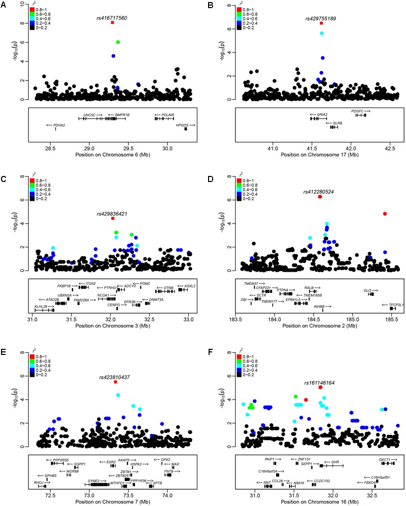 FIGURE 4