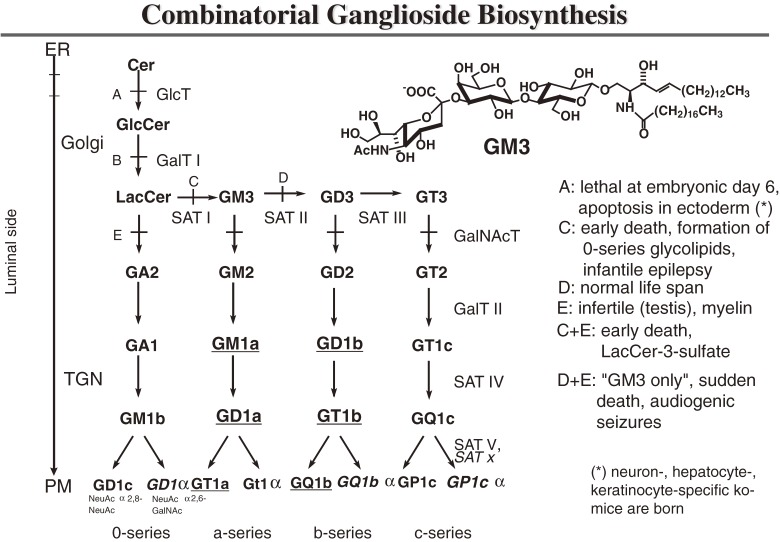 Figure 9. 