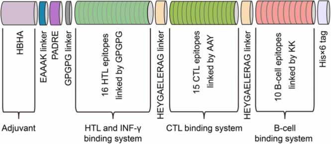 Fig. 3