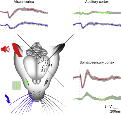 Figure 3