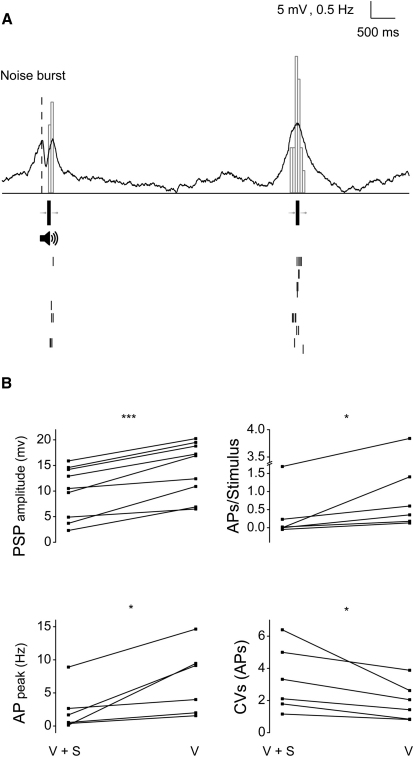 Figure 7