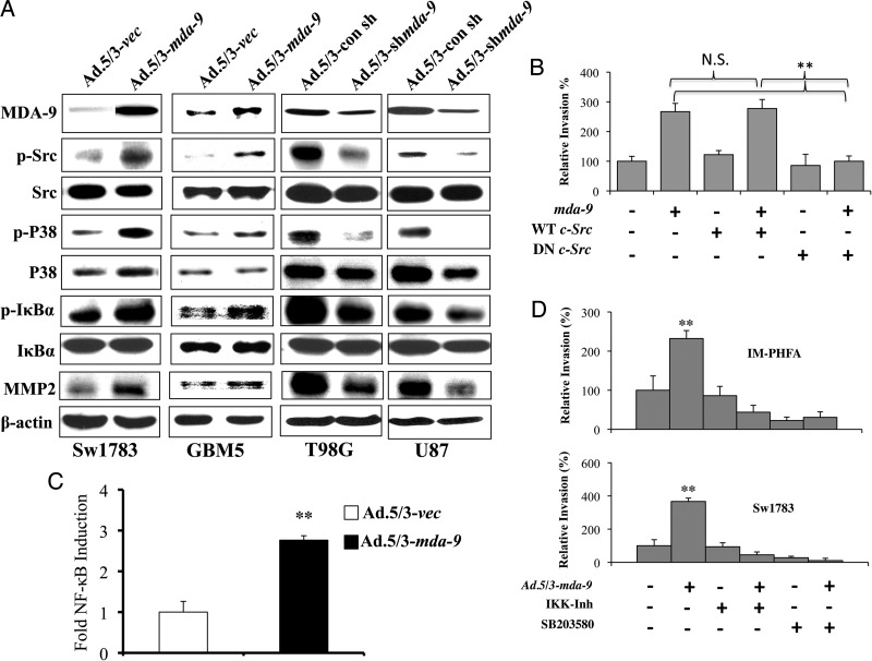 Fig. 3.