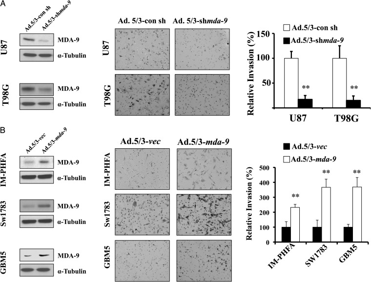 Fig. 2.