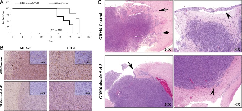 Fig. 6.