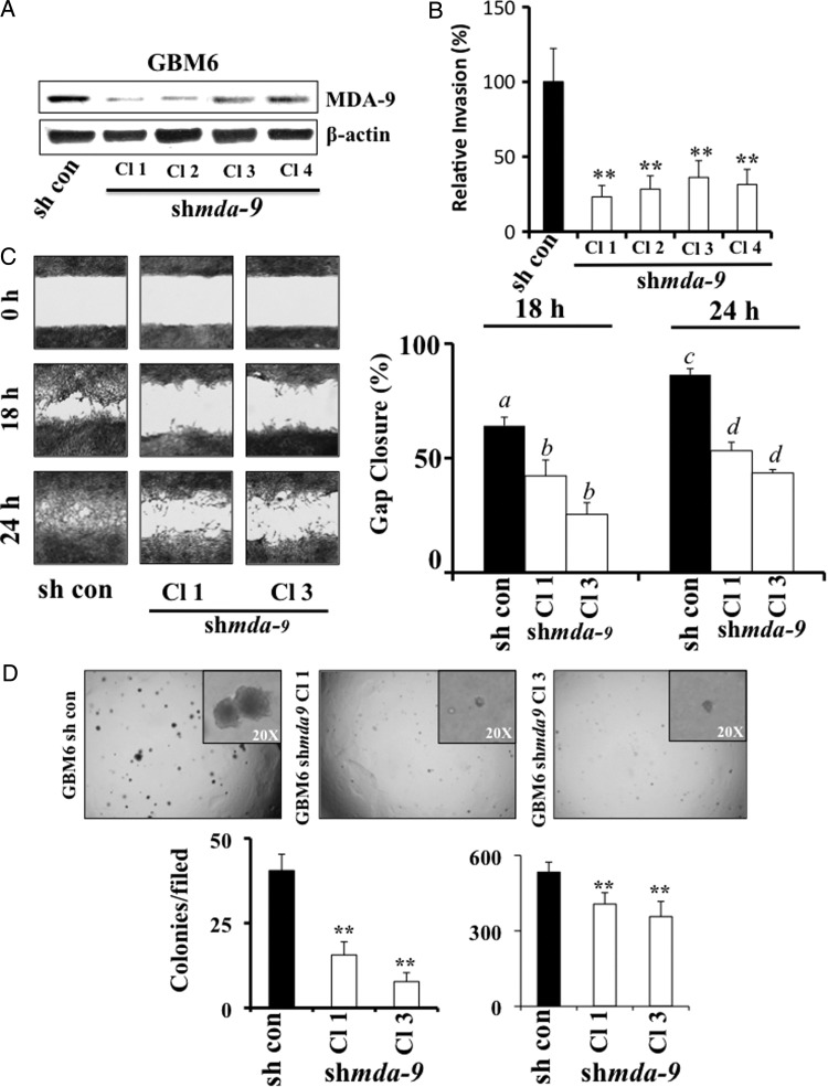 Fig. 4.