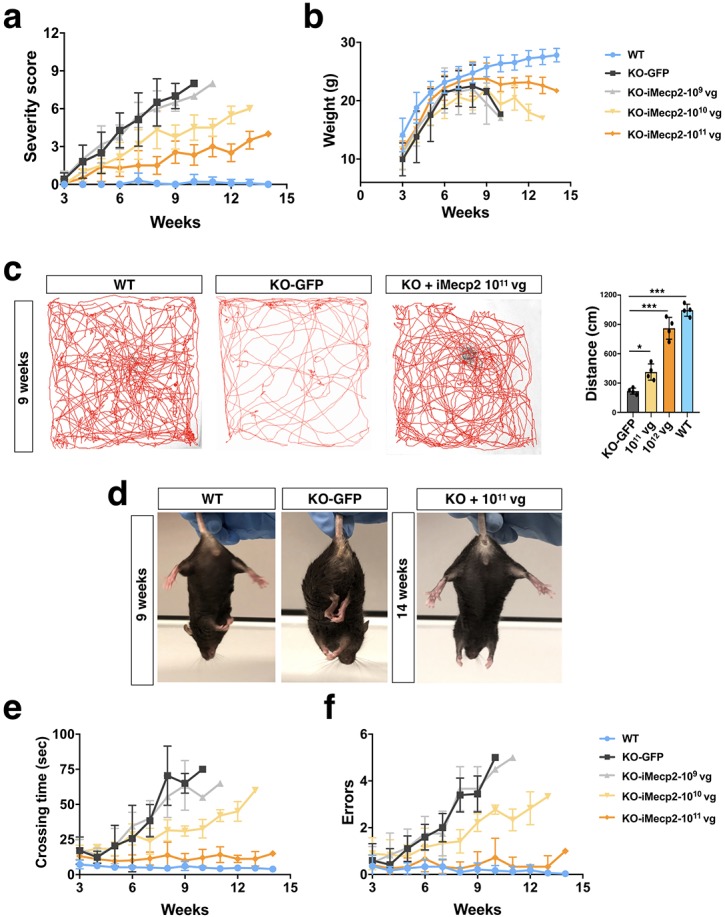 Figure 4—figure supplement 1.