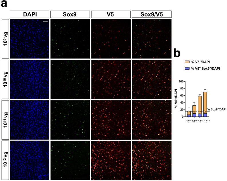 Figure 3—figure supplement 3.