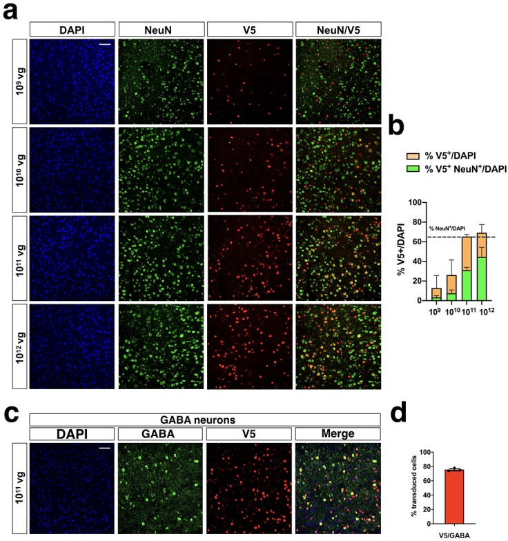 Figure 3—figure supplement 2.