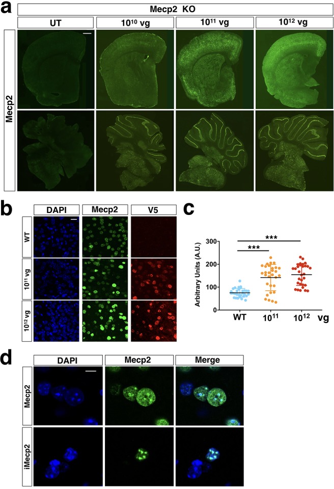 Figure 3—figure supplement 1.