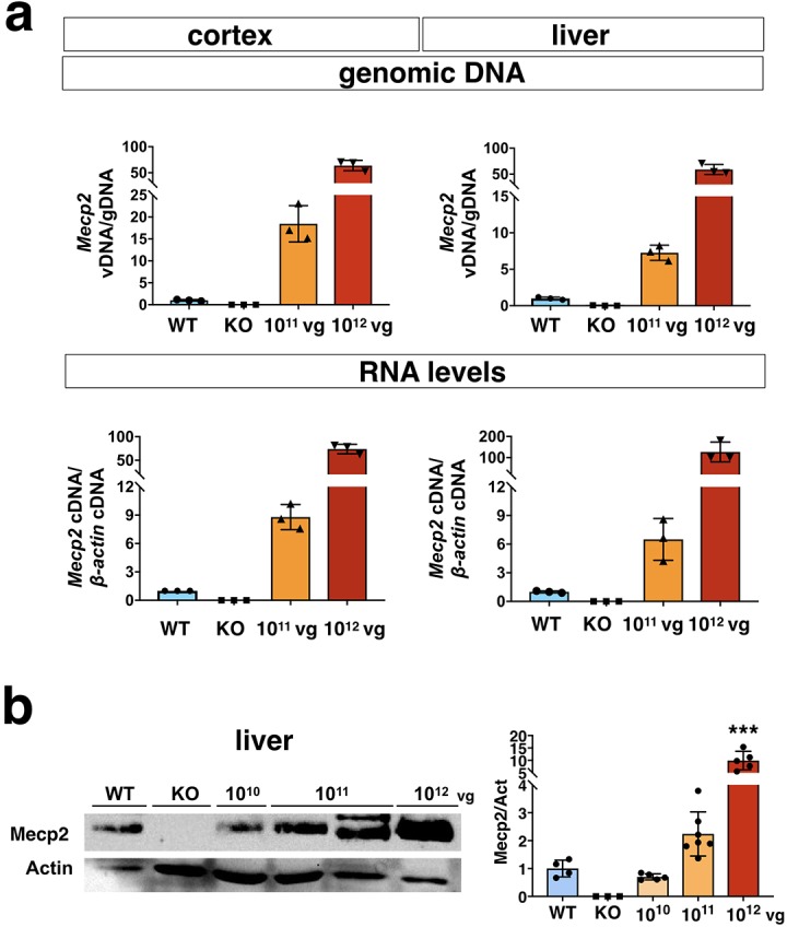 Figure 3—figure supplement 4.