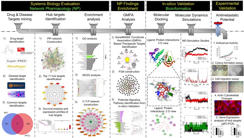 Graphical Abstract