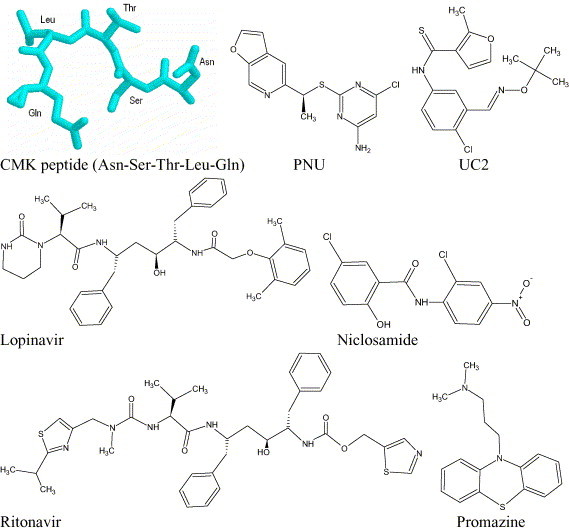 Fig. 1