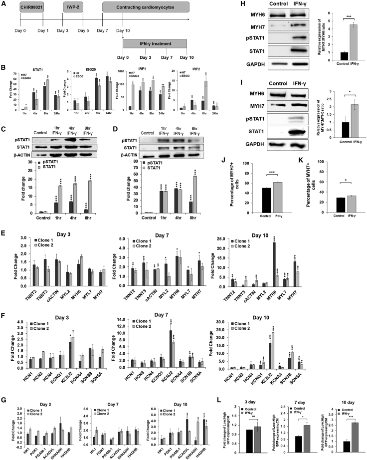 Figure 4