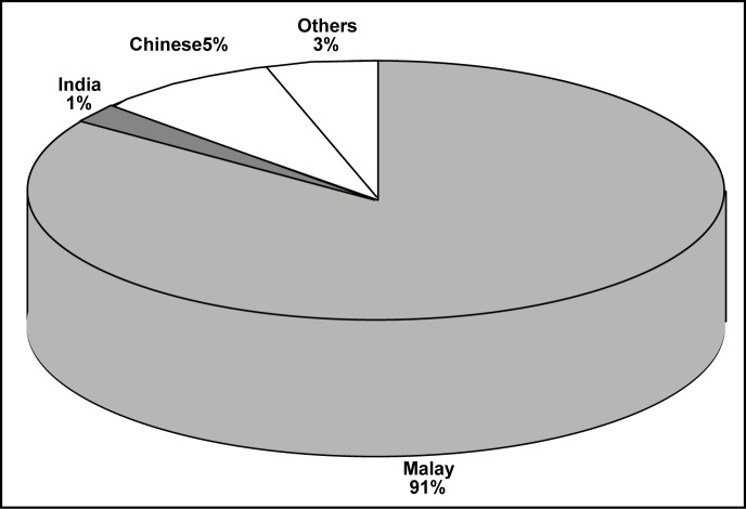 Figure 1: