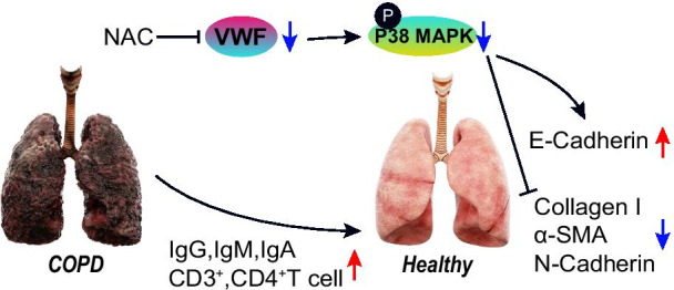 Fig. 8