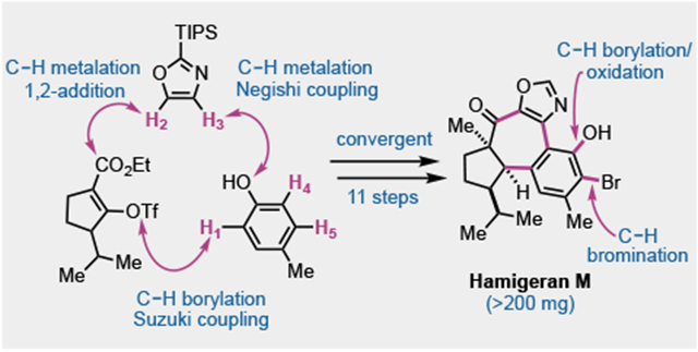 graphic file with name nihms-1804231-f0001.jpg