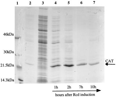 FIG. 5