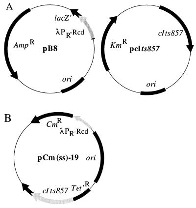 FIG. 1