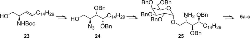 Scheme 3