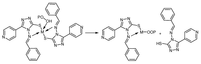 Scheme 3