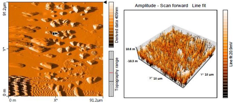 Figure 10