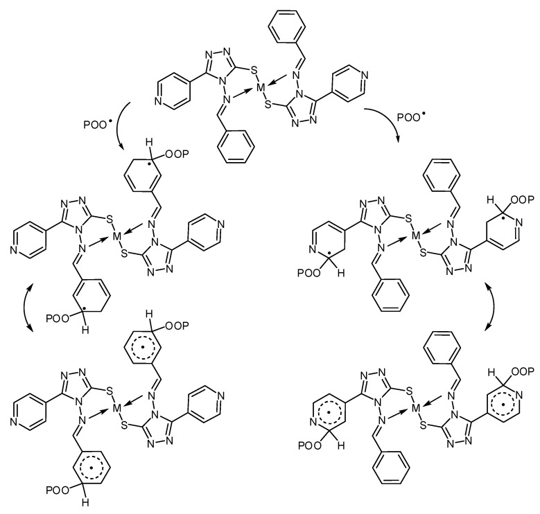 Scheme 4