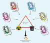 Image, graphical abstract