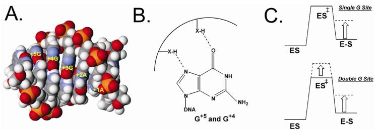 Fig. 5