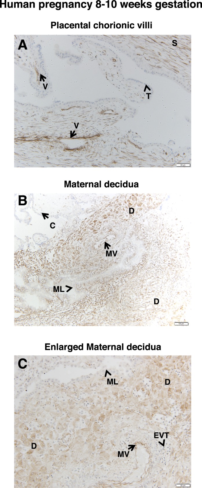 FIG. 6