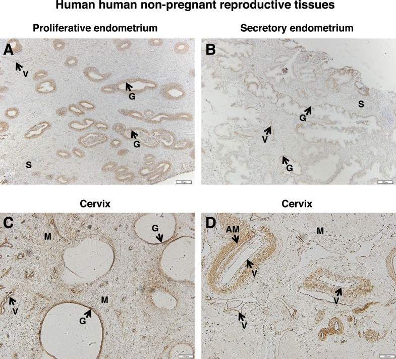 FIG. 9