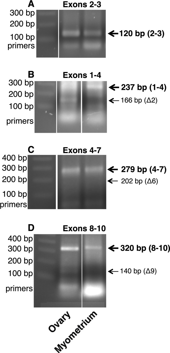 FIG. 11