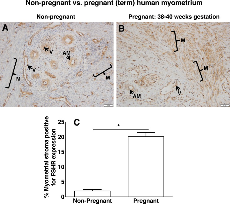 FIG. 10