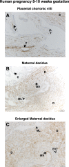FIG. 6