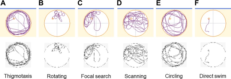 Fig 1