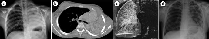 Figure 3. a–d.