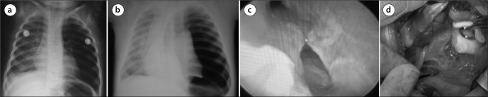 Figure 1. a–d.