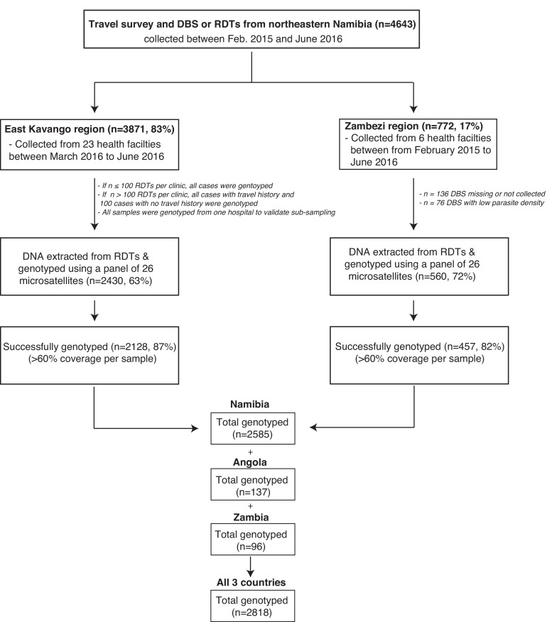 Figure 1—figure supplement 1.