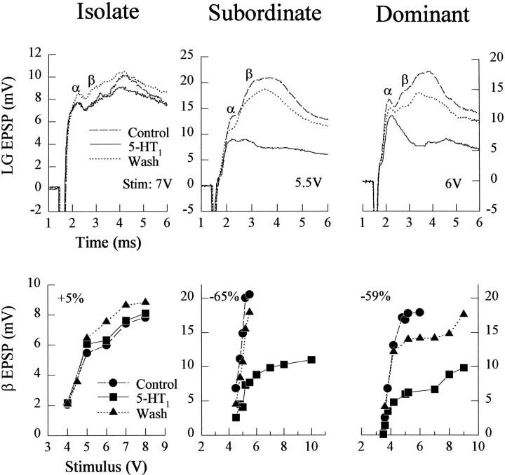 Fig. 9.