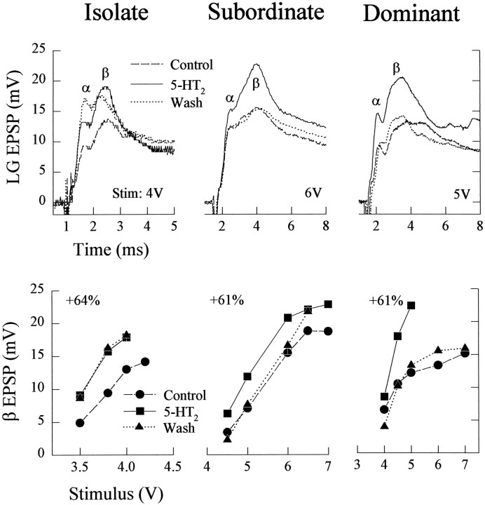 Fig. 11.