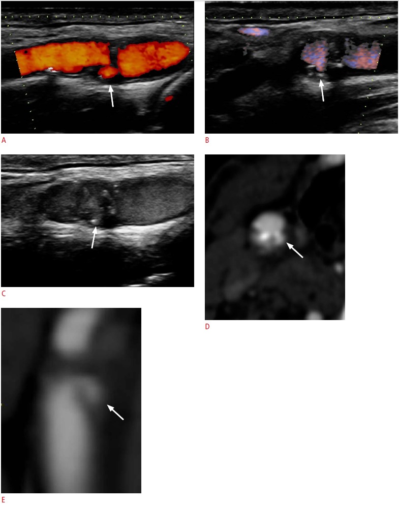 Fig. 7.