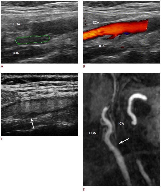 Fig. 5.