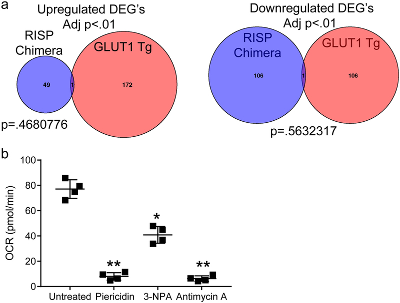 Extended Data Figure 10: