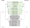 FIG 2