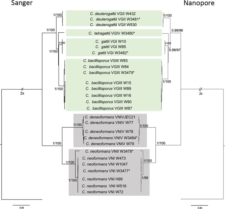 FIG 2