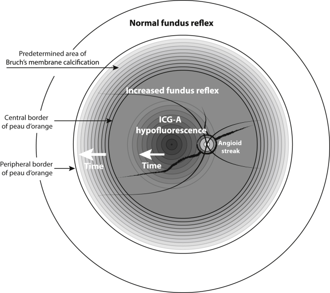 Figure 10